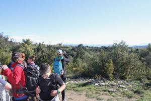 IMG 9193