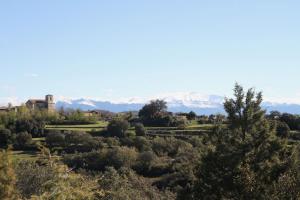 IMG 9194