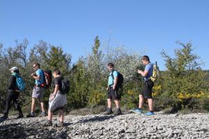 IMG 9212
