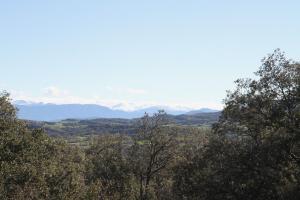 IMG 9216