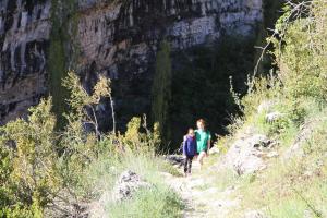 IMG 9246
