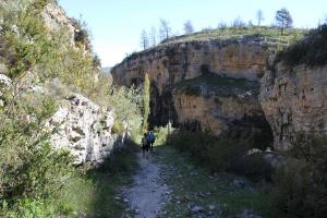 IMG 9250