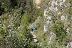 IMG 9257