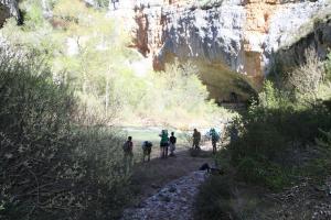 IMG 9265