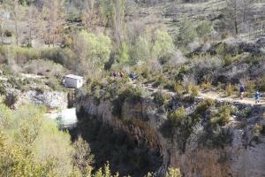 IMG 9294