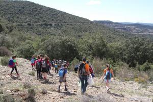IMG 9335