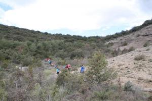 IMG 9350
