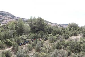 IMG 9362