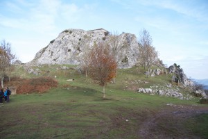 IMG_6891