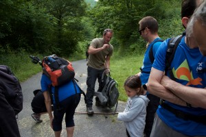 IMG 7894