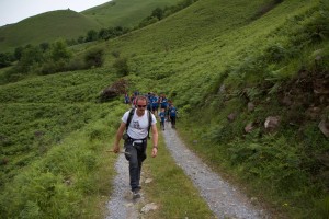 IMG 7907