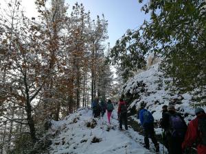 IMG 20171203 102142