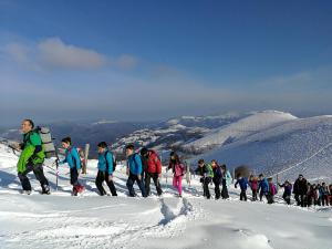 IMG 20171203 112607 1