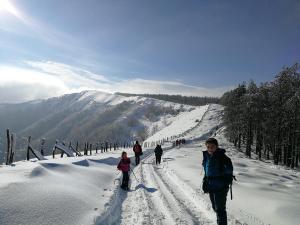IMG 20171203 122613
