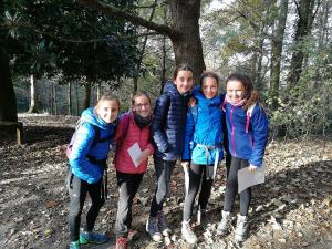IMG 20171119 094449