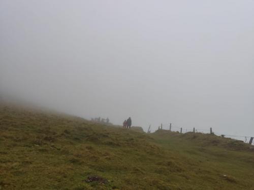 IMG-20211114-WA0038