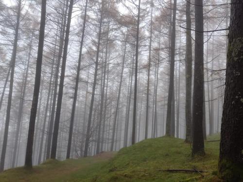 IMG-20211114-WA0041