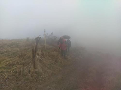 IMG-20220220-WA0042