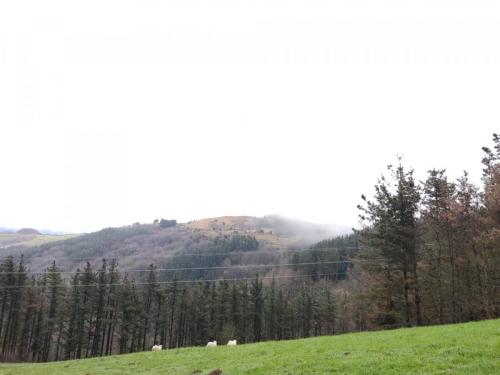 IMG-20220220-WA0071