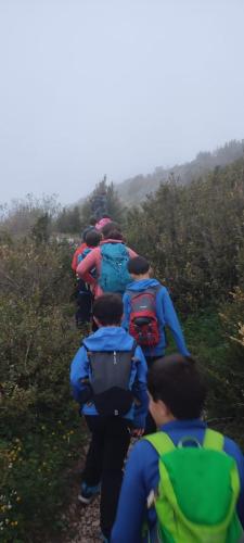 IMG-20230429-WA0055