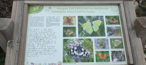 IMG-20230429-WA0080