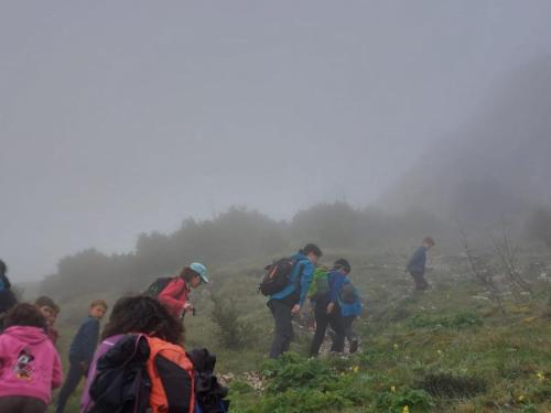 IMG-20230430-WA0058