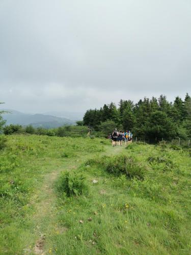 IMG 20230604 112529