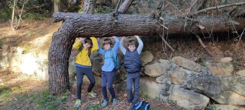 IMG-20221107-WA0007