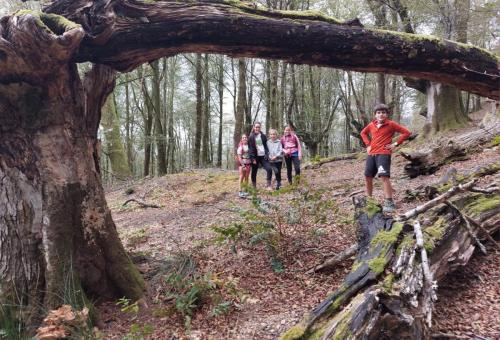 IMG-20231029-WA0066