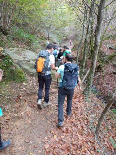 IMG-20241110-WA0027