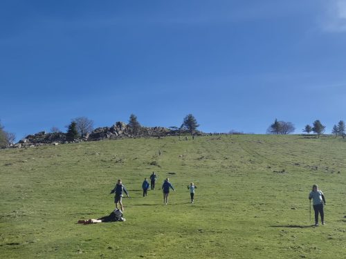 IMG-20260301-WA0013