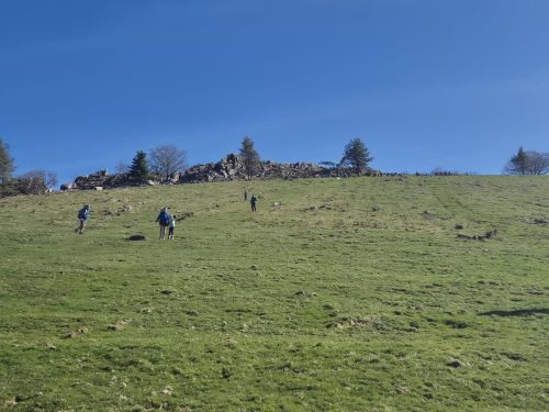 IMG-20260301-WA0014