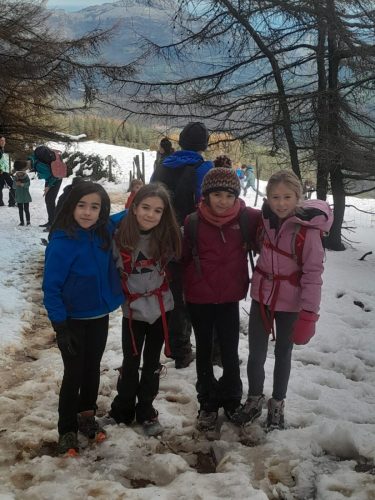 IMG-20251123-WA0041