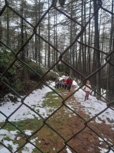 IMG-20251123-WA0048