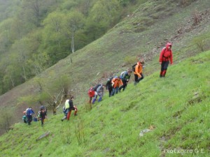 img_1241469788_429