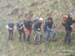 img_1241469889_182