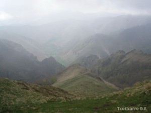 img_1241469936_568