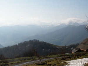 img_1241469984_501
