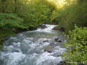 img_1241469992_743