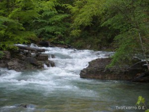 img_1241469996_333