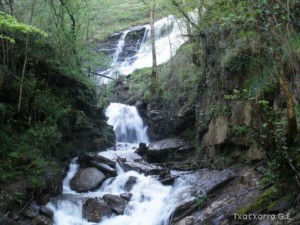 img_1241470000_40