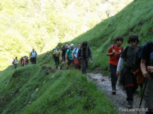 img_1241470004_47