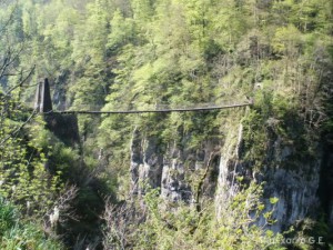 img_1241470009_389