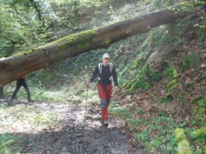 img_1241470051_875