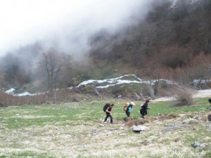 img_1241470071_294
