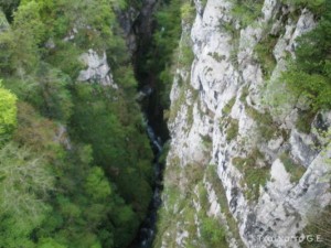 img_1241470099_499