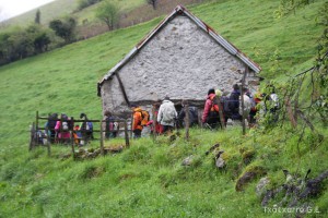 img_1241554839_864