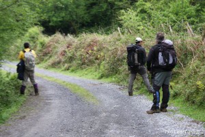img_1241554840_438