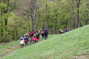 img_1241554841_60
