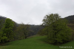 img_1241554842_306